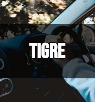 Remises en Tigre